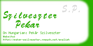 szilveszter pekar business card