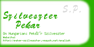 szilveszter pekar business card